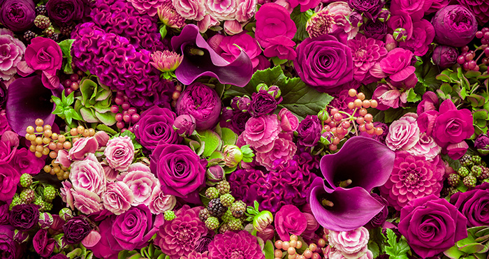 Bloemen voor alle hulpen op de dag van de huishoudelijke hulp